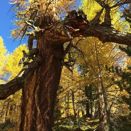 La Montanara Διαμέρισμα